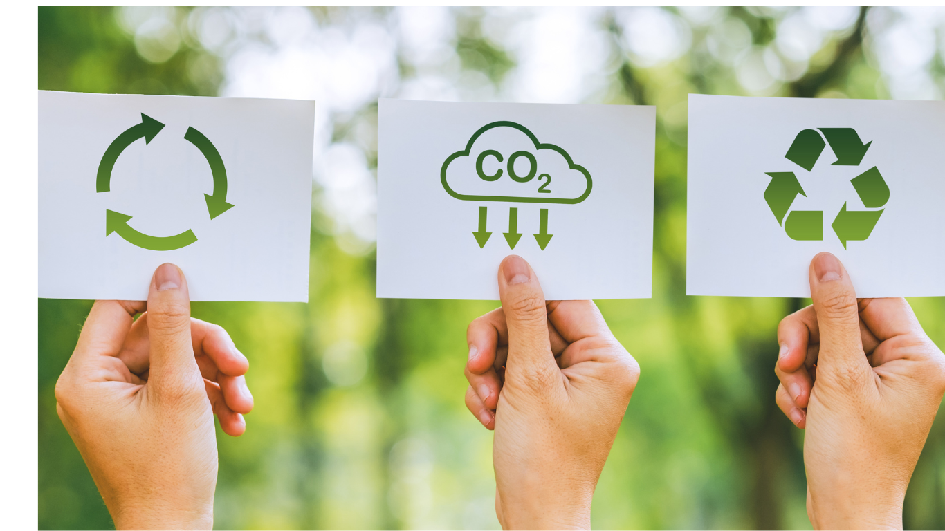 Sustainability in FMCG: From Green Commitments to Profitability